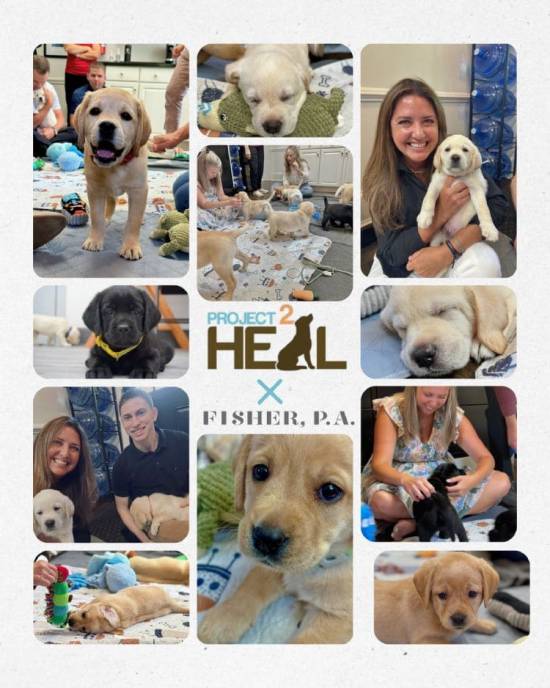 Project 2 Heal